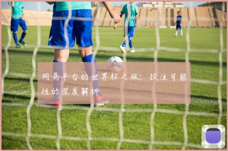 网易平台的世界杯之旅：投注可能性的深度解析